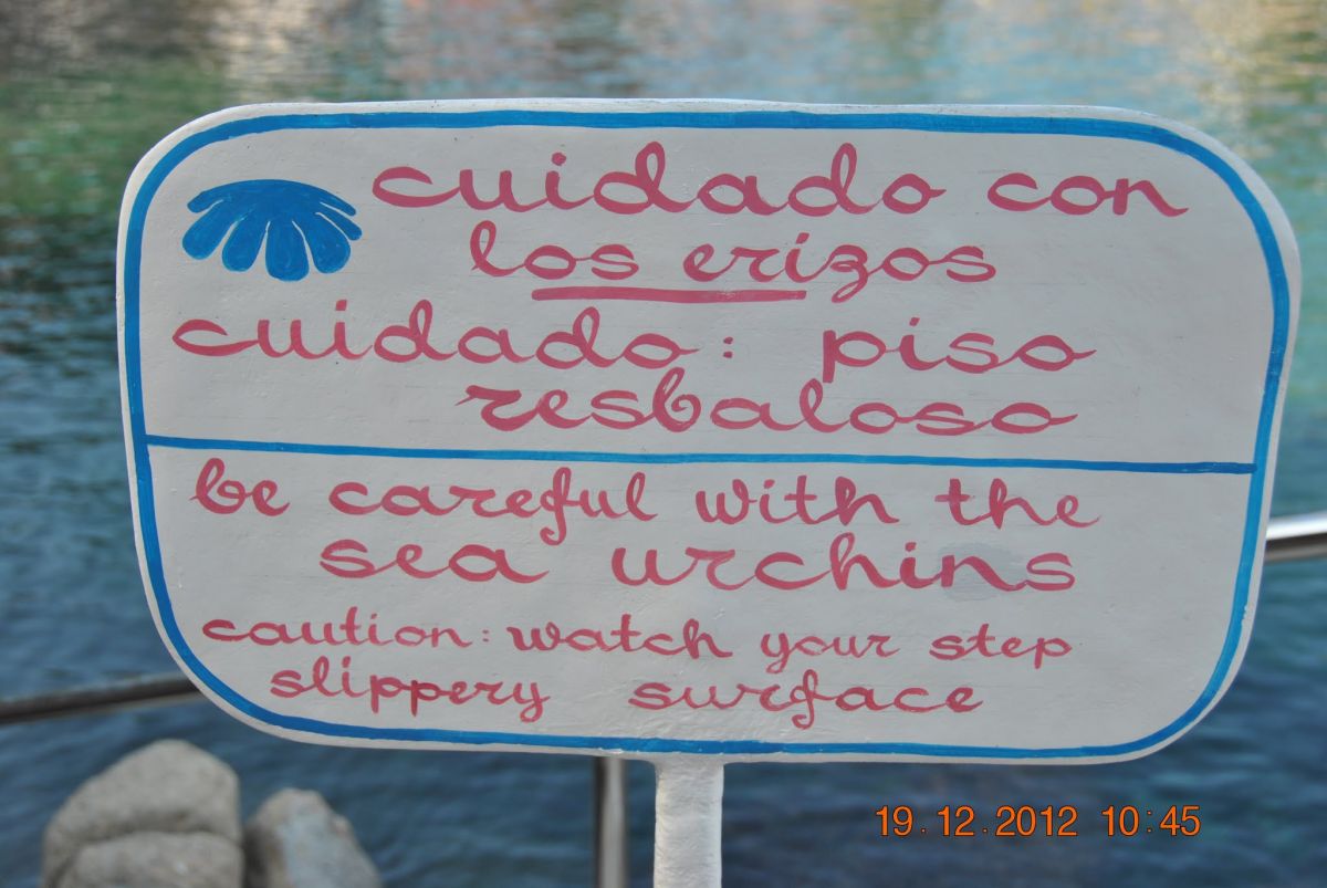 imagini hotel LAS BRISAS